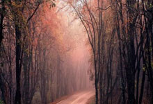 陕西西安一地升为高风险区，警惕！